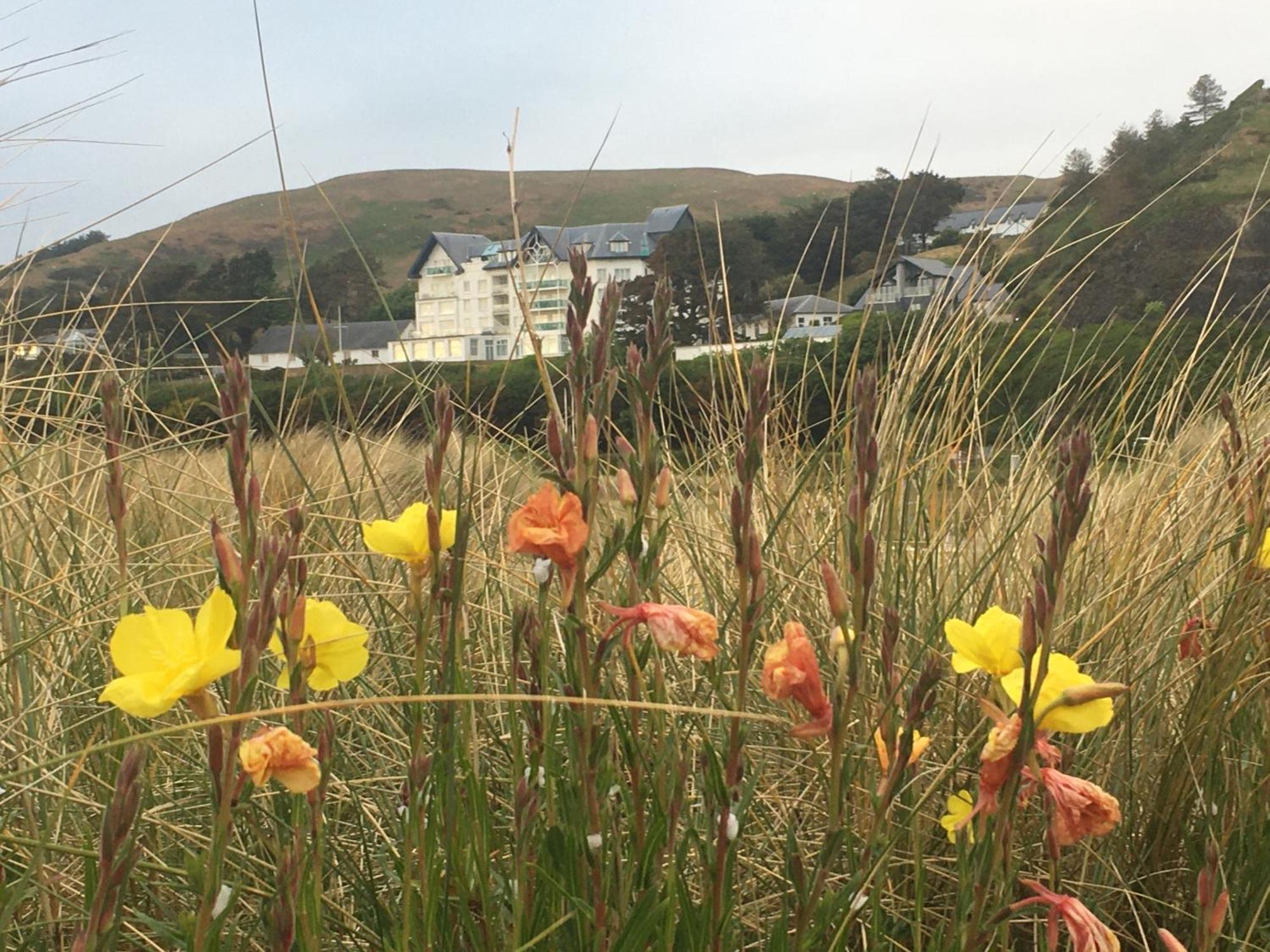 Lovely Seafront 2 Bedroom Apartment 4 Aberdyfi Eksteriør bilde